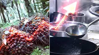 Iran war spurs surge in palm oil exports from Southeast Asia