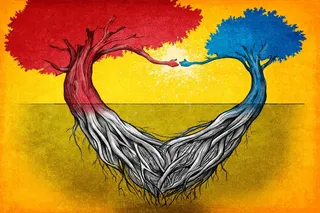 Illustration: Henry Wong