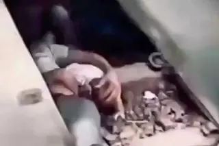 A Bangladeshi man jumped onto the train tracks to shield his baby with his body, sparking both praise and debate about his actions. Photo: Handout