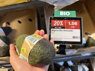 酪梨近年在瑞士相當受歡迎，市場需求大，但完全仰賴進口。超市一顆手掌大小的進口酪梨售價約新台幣80元。中央社記者郭芳君蘇黎世攝　115年5月5日