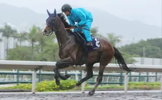 Rousham Park gallops on the Sha Tin dirt earlier this week. Photos: Kenneth Chan