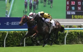 Zac Purton and Flying Amani (right) edge ahead of Perfecto Moments to win the first race of the day at Sha Tin. Photo: Kenneth Chan.