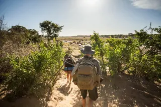 Rangers in Kruger National Park, South Africa, where the bodies of two tourists were found on Friday. Photo: Shutterstock
