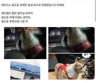 柳智俞的寵物狗被發現出現在度云的車上及練習室。翻攝NAVER