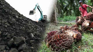 Indonesia's new export control rattles commodity buyers: 5 things to know