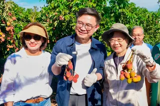前總統蔡英文在立委委賴瑞隆與邱議瑩陪同，昨日再度南下高雄，前往大樹玉荷包果園親自下田體驗採果，化身「一日果農」。立委賴瑞隆提供