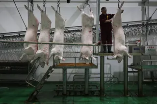 台州一家屠宰场。中国政府一直在采取行动增加猪肉采购，但经济学家汉娜·刘表示，“需求侧已经没什么可做的了。”