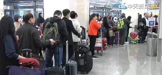 民眾若違規攜帶肉製品或活植物入境，最高可處新台幣100萬元罰鍰。（示意圖／中天新聞）