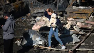 A woman holding her dog walking past burned cars in Beirut