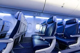 西南航空規定，若體型超過座椅扶手，就會被視為需要購買兩個座位。（圖／翻攝自西南航空官網）