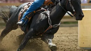 A horse partakes in barrel racing