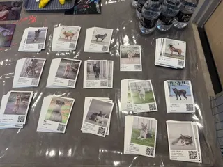 家屬為了吳女的理念，在入口處擺放許多流浪動物的資訊。(記者孫唯容攝)