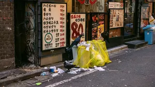 Crows perched on garbage bins in the Shibuya district of Tokyo