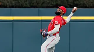 Joe Adell