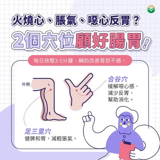 胃酸或食物逆流進入食道或咽喉，會引起灼熱、胸悶與喉嚨異物感。（圖／東霖馬光中醫診所）