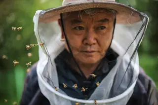 Bees fly around Park Gyeong-je, 65, a migratory beekeeper, at the second location for migratory beekeeping in Okcheon, South Korea, on May 13.
