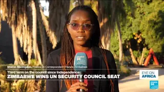 Zimbabwe elected to UN Security Council