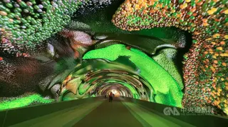 義大利東北部邊境城市戈里齊亞打造全歐洲最大的數位藝廊，創作者是知名藝術家阿納道爾（Refik Anadol）。中央社記者黃雅詩戈里齊亞攝　115年6月5日