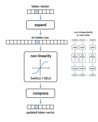 Feed-forward network expands, transforms, and compresses each token vector