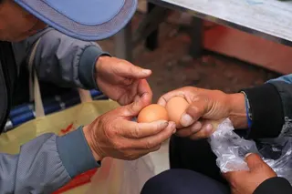 中國近期不少消費者反映雞蛋價格明顯上漲。圖為甘肅人們在內官營鎮錦雞塬山廟會上碰雞...