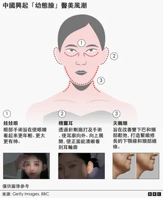 圖表