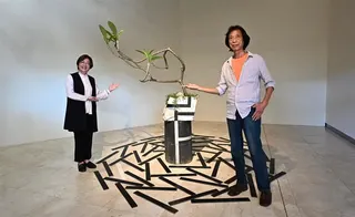 彰化縣立美術館推出「土散四維」陳正勳個展，展出15件作品，呈現陶藝與自然、生活的對話，即日起展至6月21日，邀民眾免費參觀感受藝術魅力。（彰化縣文化局提供）