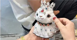 遊客可自由搭配花帽、布料與飾品，每隻小羊都是獨一無二的作品。