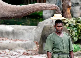 Karthiriish Chandra spent a total of 14 years with the Mandai Wildlife Group as an animal keeper and senior veterinary keeper.