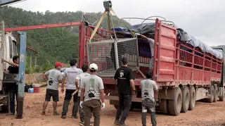 A bear from the illegal bear bile farm in Laos being loaded onto a truck to be transported to the Luang Prabang Wildlife Sanctuary.