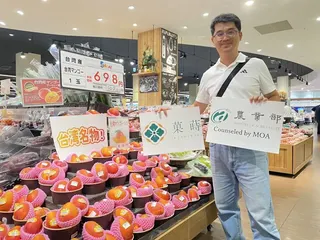 台灣芒果前進日本永旺超市（圖／SK-Connect 株式會社提供）