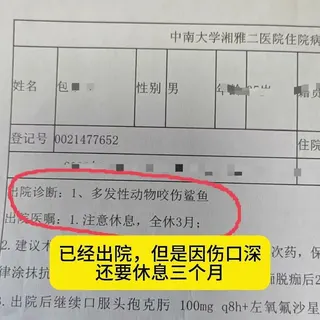 醫師診斷包姓律師為「多發性動物咬傷」（鯊魚），需要休養3個月。翻攝微博