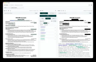 PDF redaction workbench showing a resume with detected PII and the redacted PDF output