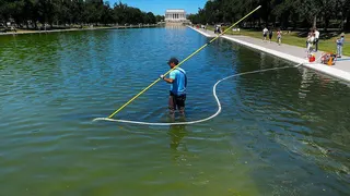 Workers with long poles clean the pool with the Lincoln Monument in the background