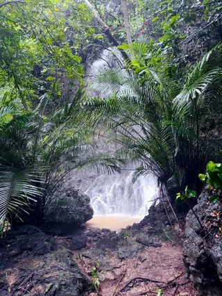 豪大雨轟炸南台灣　高雄《柴山瀑布》磅礡再現 - https://www.watchmedia01.com