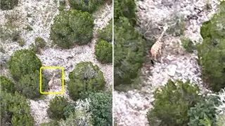 Gracie seen from a helicopter.