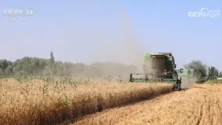 （图取自央视网）