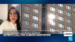 'Architecture, city design a frontline of defense' against heatwaves, expert says
