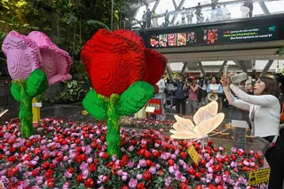 People take pictures of roses created with Lego blocks at the Jewel Complex at Singapore Changi Airport on June 23. Photo: AFP