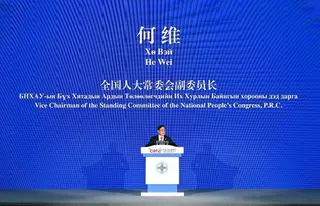 中國全國人大常委會副委員長何維。(新華社)