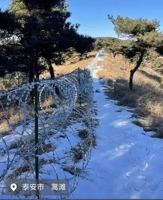 近日，有網民發布視頻稱，泰山景區周邊設置了帶刀片的螺旋鐵絲網，長度約135公里。...