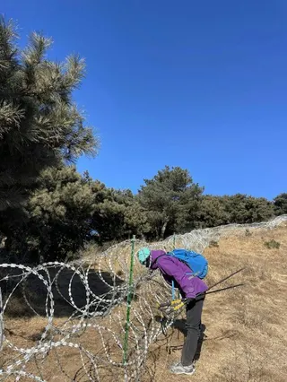近日，有網民發布視頻稱，泰山景區周邊設置了帶刀片的螺旋鐵絲網，長度約135公里。...