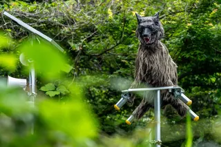 Robotic wolf guards rural Kiryu convenience store as Japan battles rising bear sightings in Gunma. — AFP pic