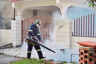 Malaysia reported 38,854 dengue cases up to June 27 — up 29.1 per cent from the same period last year. - NSTP file pic