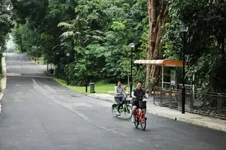 Few cities in the world can match Singapore’s network of parks and trails where people can walk, run and cycle from early morning to late evening in such a safe environment, says the writer.
