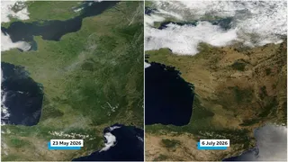 Satellite comparison showing the impact two intense heatwaves on the countryside, turning it from lush green to parched brown.