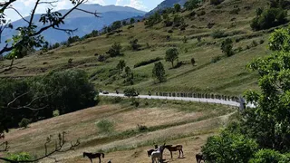The tour de France peloton weaves through some farmland with horses in the foreground of the picture