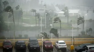 Trees are blown in strong wind and rain behind a full car park