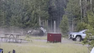 Watch: Bison flings man eight feet into air in dramatic attack at US Yellowstone National Park