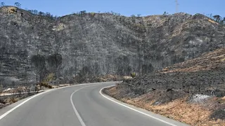 View of the burnt land after the Los Gallardos fire in Beda village, Almeria, southern Spain.