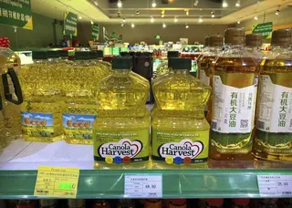 中國是全球最大的油菜籽進口國。加拿大是全球最大油菜籽出口國，澳洲則排名第二。圖為...